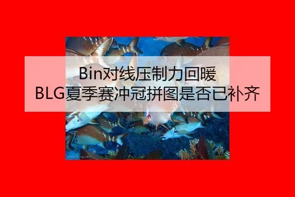 Bin对线压制力回暖 BLG夏季赛冲冠拼图是否已补齐